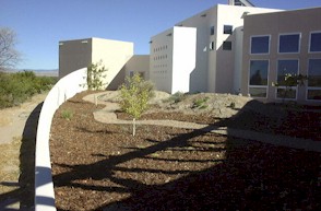 ALBU03.jpg (21702 bytes)