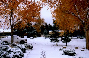 ALBU08.jpg (33216 bytes)