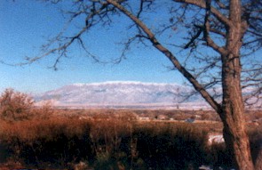 Albu90.jpg (22267 bytes)