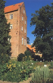 1-back-01.jpg (25441 bytes)