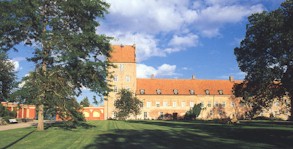 1-back-02.jpg (20060 bytes)