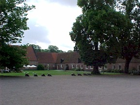 backaskog06.jpg (23758 bytes)