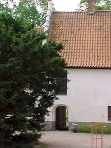 backaskog07.jpg (26495 bytes)