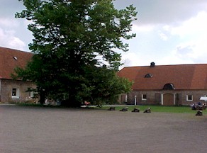 backaskog09.jpg (22198 bytes)