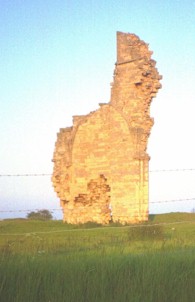 IMBarlings01.jpg (14151 bytes)