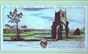 IMBarlings02.jpg (21892 bytes)