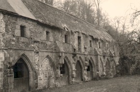 IMBelleEtoile85.jpg (21921 bytes)