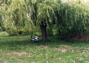 sc03.jpg (30003 bytes)