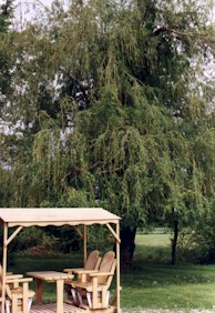 sc06.jpg (29488 bytes)