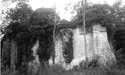 IMDommartin01.gif (23785 bytes)