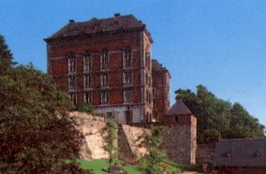 IMFloreffe83.jpg (20111 bytes)