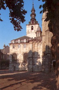 IMFloreffe85.jpg (23163 bytes)