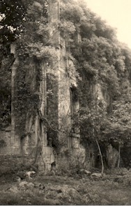 IMGenlis73.jpg (25245 bytes)