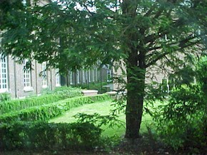 grim019.jpg (34409 bytes)