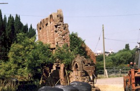 hoa-06.JPG (22327 bytes)