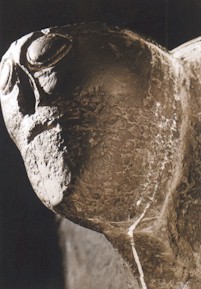 1-hamb-09.jpg (21272 bytes)