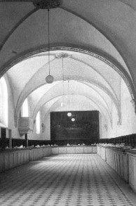 IMLaVid05.jpg (18844 bytes)