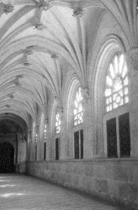 IMLaVid06.jpg (19679 bytes)