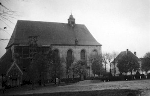 IMLiques01a.jpg (14757 bytes)