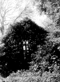 IMLochCe01.gif (37489 bytes)