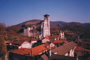 IMMiasino-B.jpg (41557 bytes)