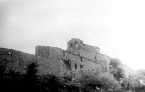 IMMur.jpg (12318 bytes)