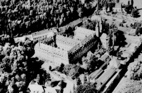 IMOberzell02.jpg (30652 bytes)