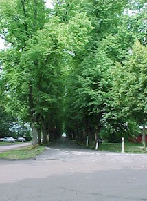 ofed03.jpg (30815 bytes)