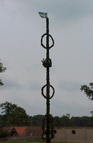 ofed15.jpg (11348 bytes)