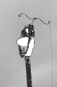 Therese64.GIF (182959 bytes)