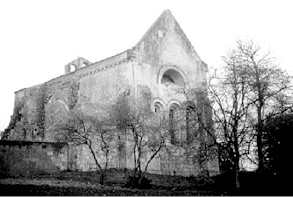 IMpleinselve1.jpg (20872 bytes)