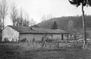 IMRieval01.jpg (19974 bytes)