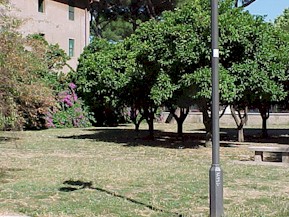 Alessio10.jpg (36931 bytes)