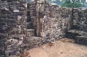 tal-06.jpg (29985 bytes)