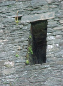 tal03.jpg (23880 bytes)