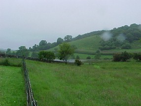 tal11.jpg (14952 bytes)