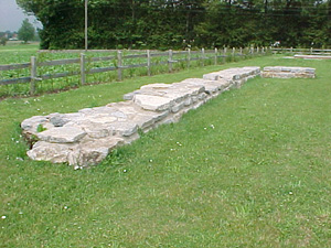 tommarp06.jpg (27577 bytes)