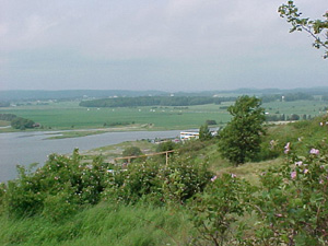 tons11.jpg (21183 bytes)