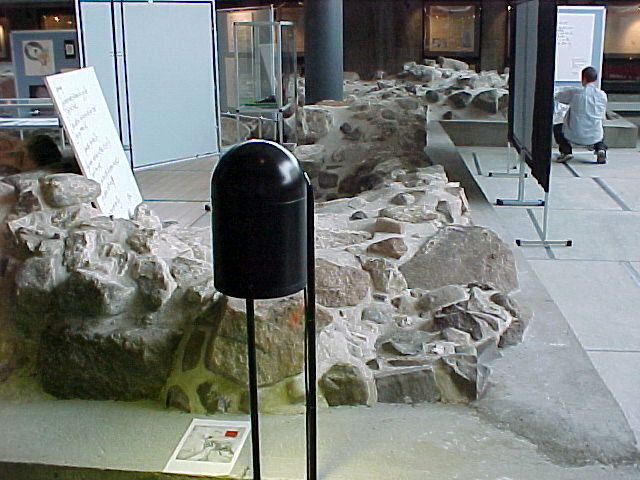 tons23.jpg (25844 bytes)