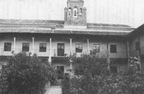 IMToro77.jpg (18174 bytes)