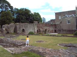 29 Nave again.jpg (14985 bytes)