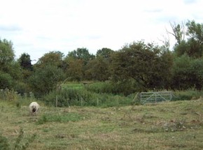 Tupholme31.jpg (19874 bytes)