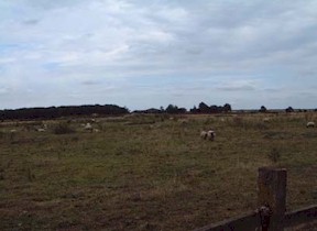 Tupholme9.jpg (14917 bytes)