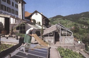 b-bergsion-01.jpg (23319 bytes)