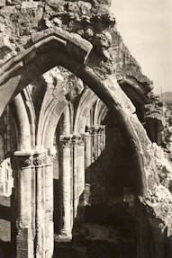 IMZsambek76.jpg (24539 bytes)