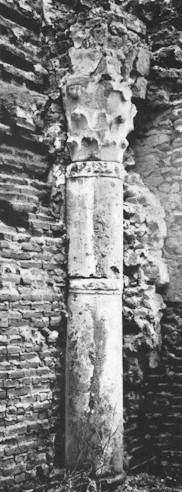 zyf-032.JPG (44032 bytes)